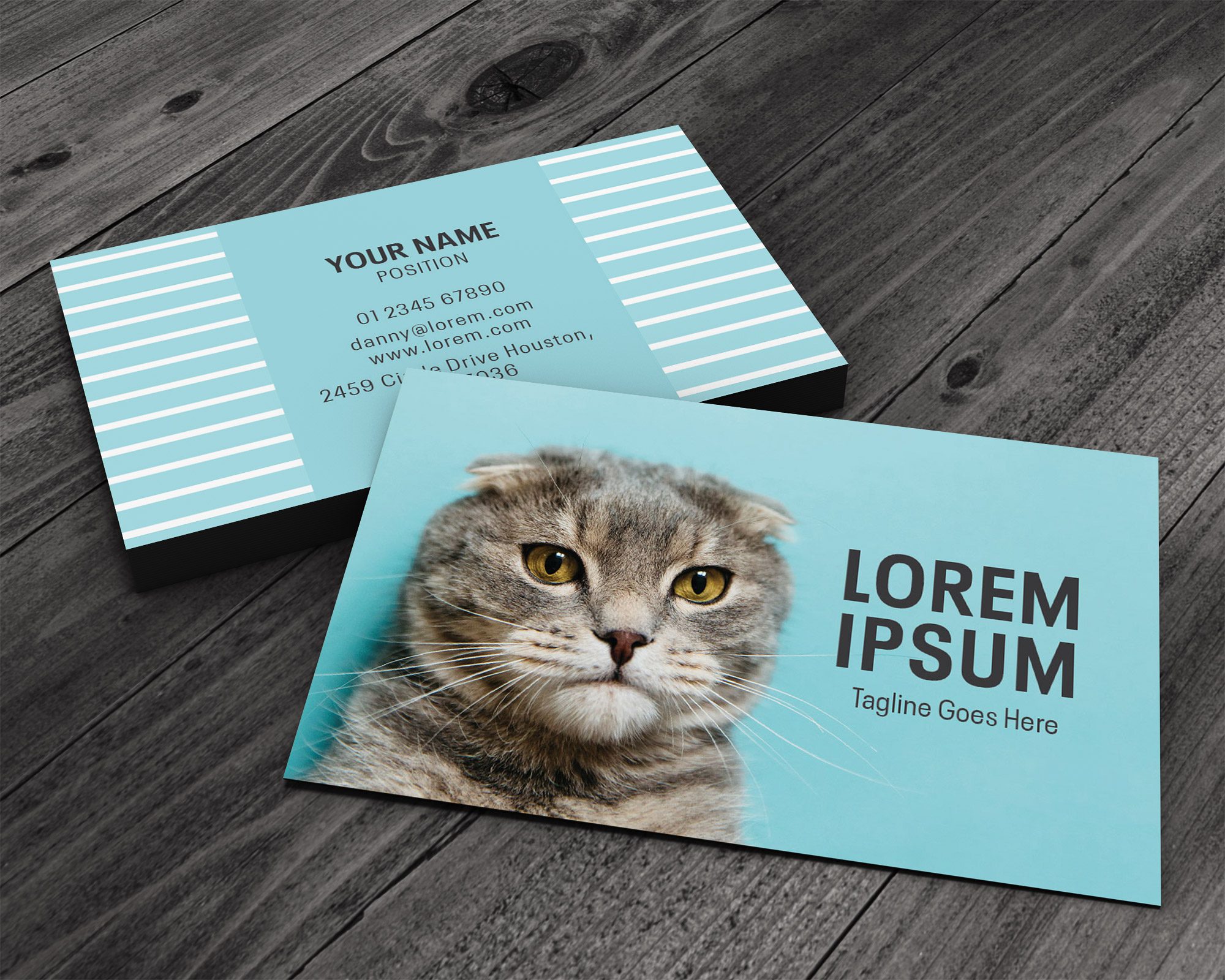 Cat Grooming Business Card Go Print Plus
